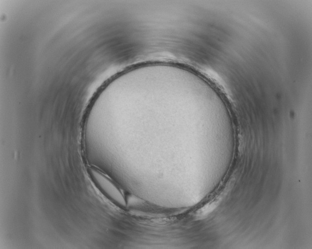 X0000088181326200706121641