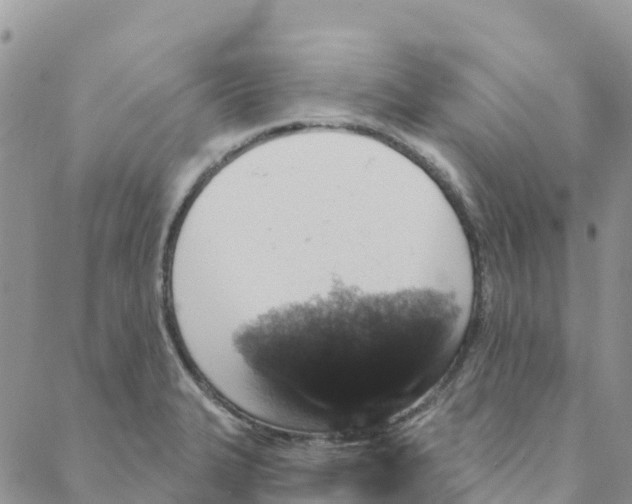 X0000088181327200706121641