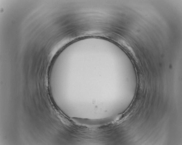 X0000088181328200706121641