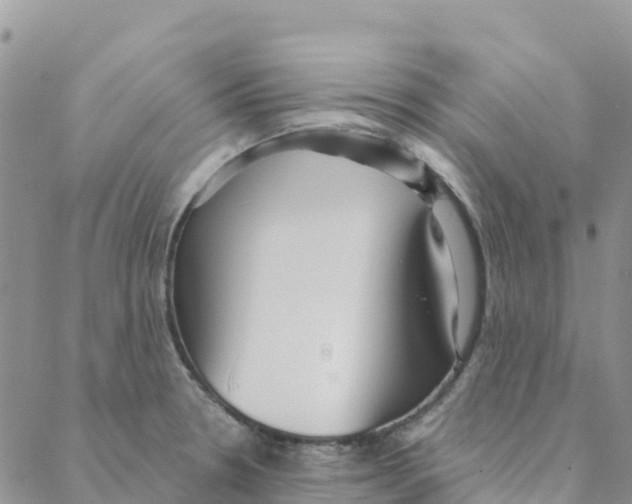 X0000088181330200706121641