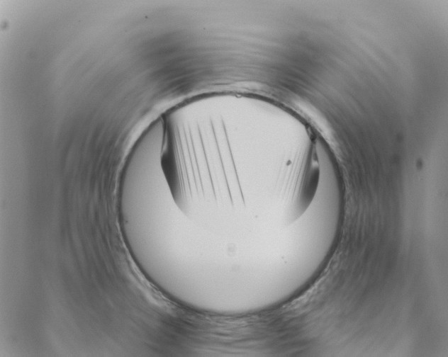 X0000088181332200706121641