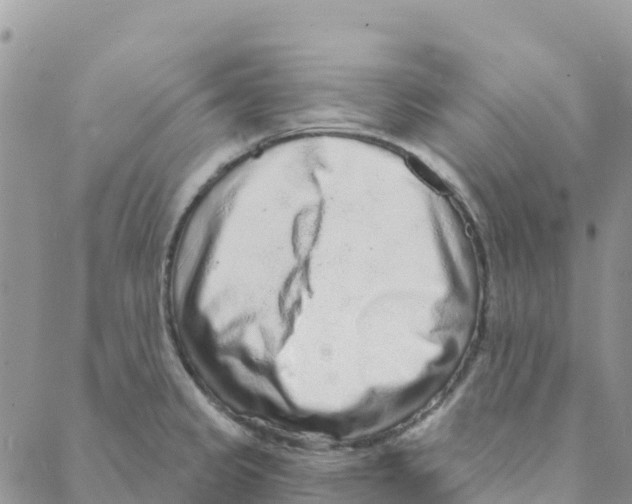 X0000088181333200706121641