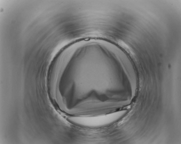 X0000088181334200706121641