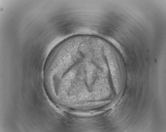 X0000088181335200706121641