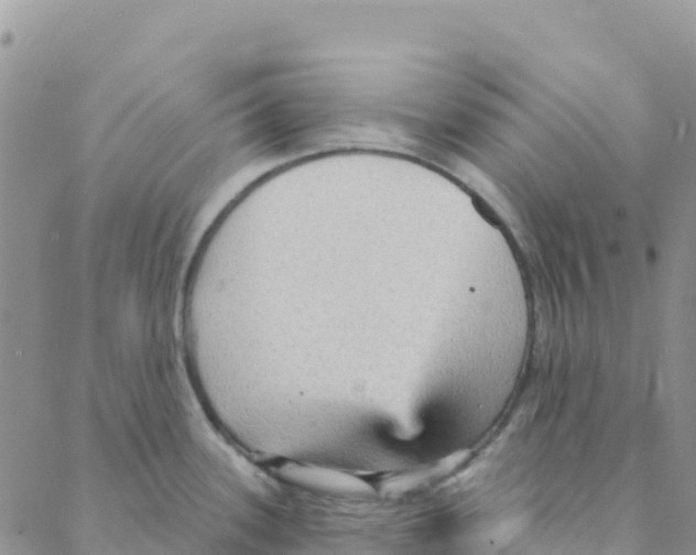 X0000088181339200706121641