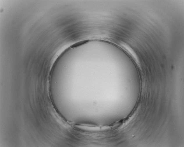 X0000088181340200706121641