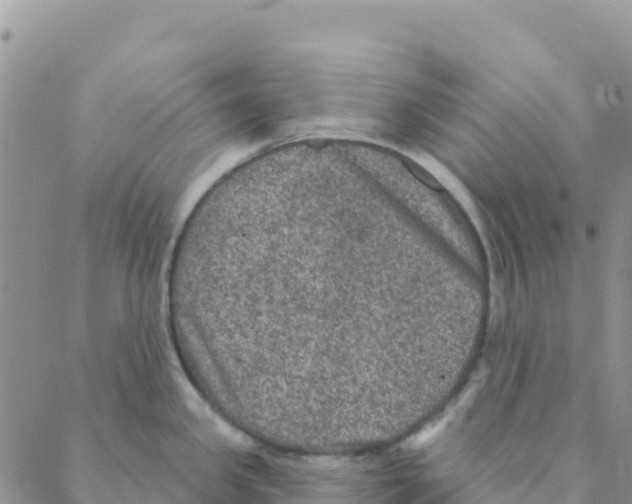 X0000088181341200706121641