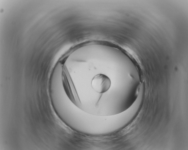 X0000088181342200706121641