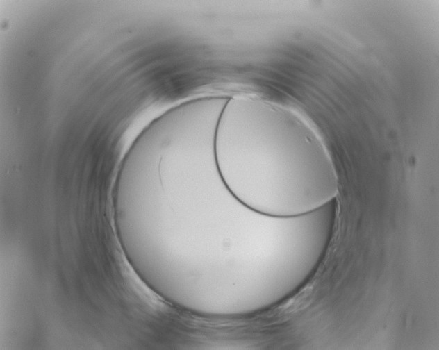 X0000088181344200706121641