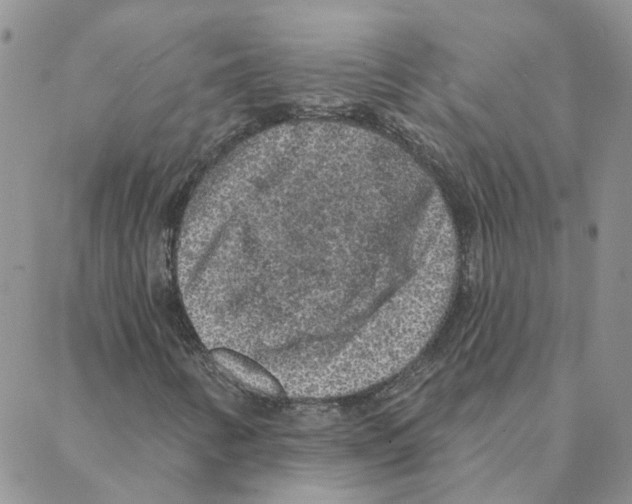 X0000088181346200706121641