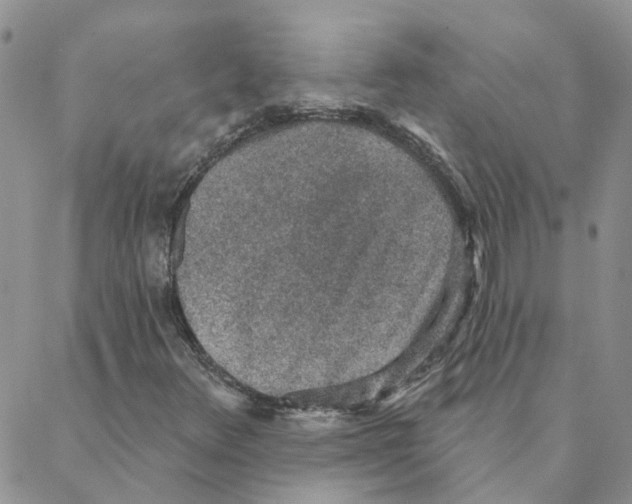 X0000088181348200706121641