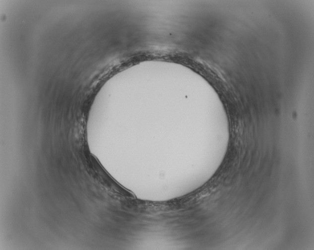 X0000088181349200706121641