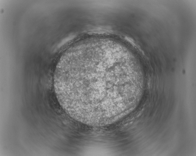 X0000088181350200706121641