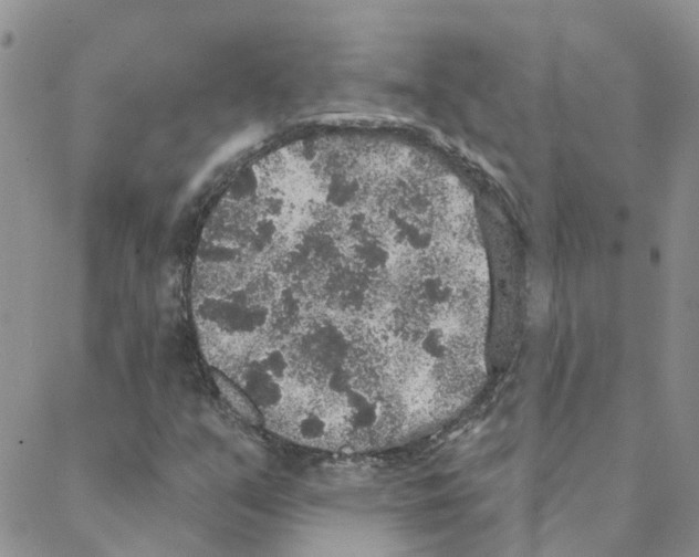 X0000088181351200706121641