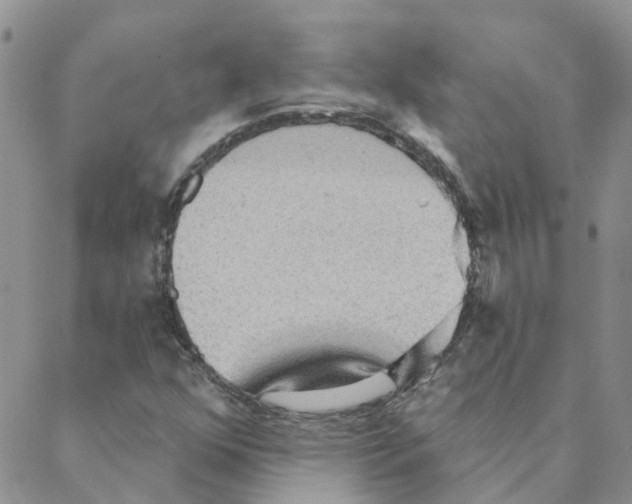 X0000088181352200706121641