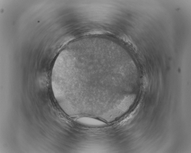 X0000088181353200706121641