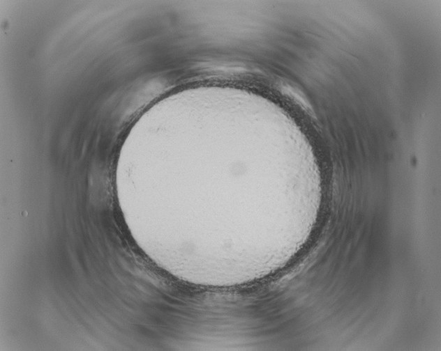 X0000088181354200706121641