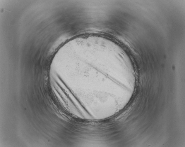 X0000088181355200706121641