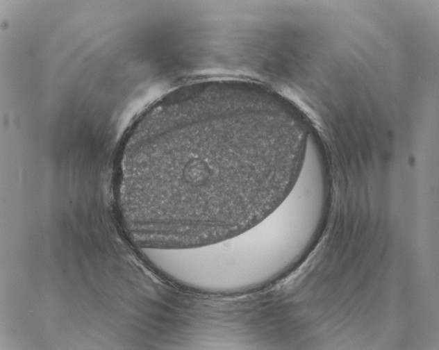 X0000088181357200706121640