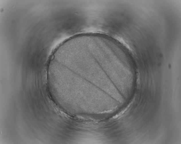 X0000088181358200706121640