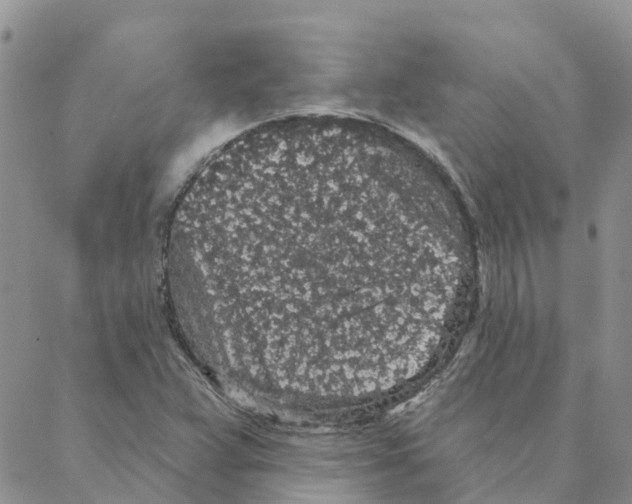 X0000088181359200706121640