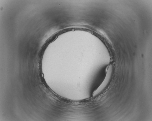 X0000088181360200706121640