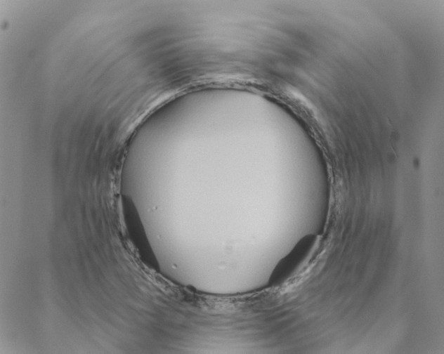 X0000088181361200706121640