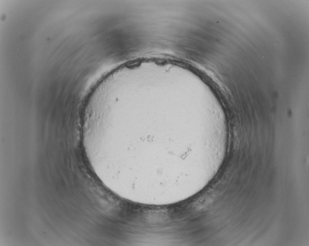 X0000088181363200706121640