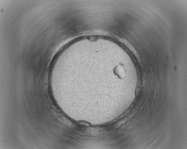 X0000088181364200706121640