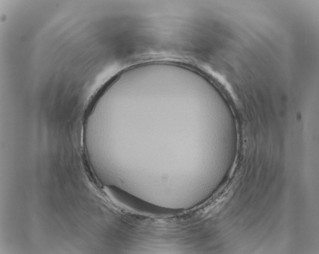 X0000088181365200706121640