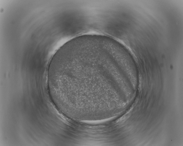 X0000088181367200706121640