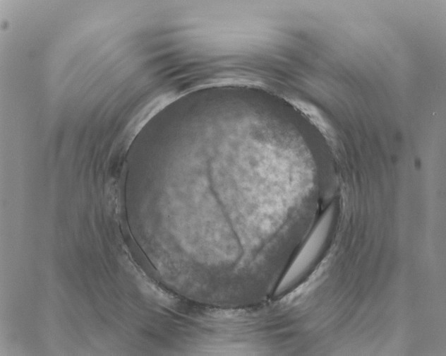 X0000088181369200706121640