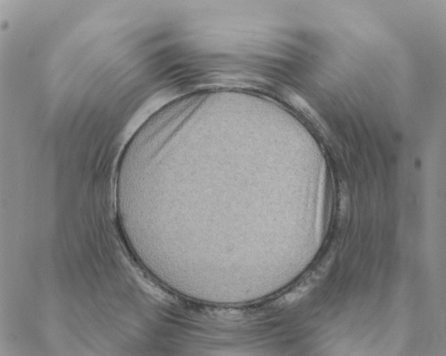 X0000088181370200706121640