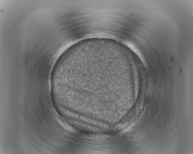 X0000088181372200706121640