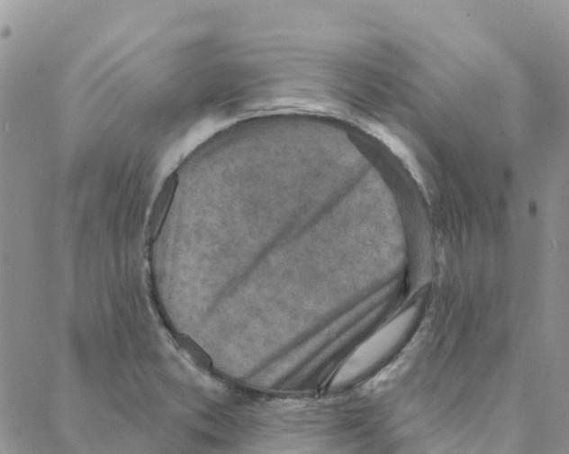 X0000088181373200706121640