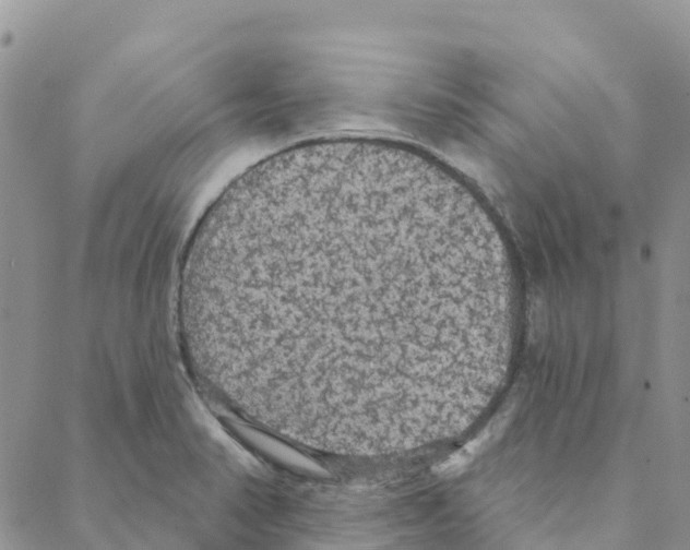 X0000088181374200706121640