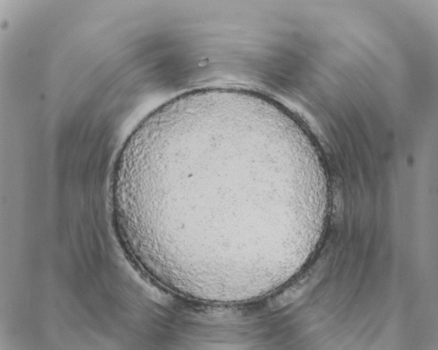 X0000088181375200706121640