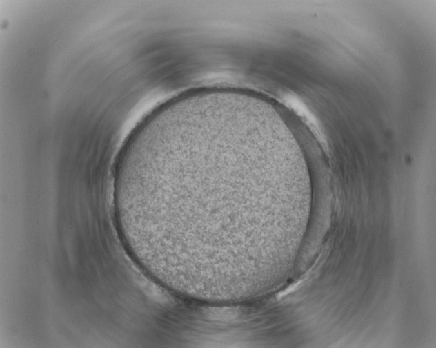 X0000088181376200706121640