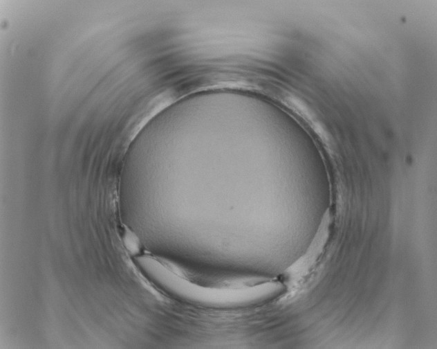 X0000088181377200706121640