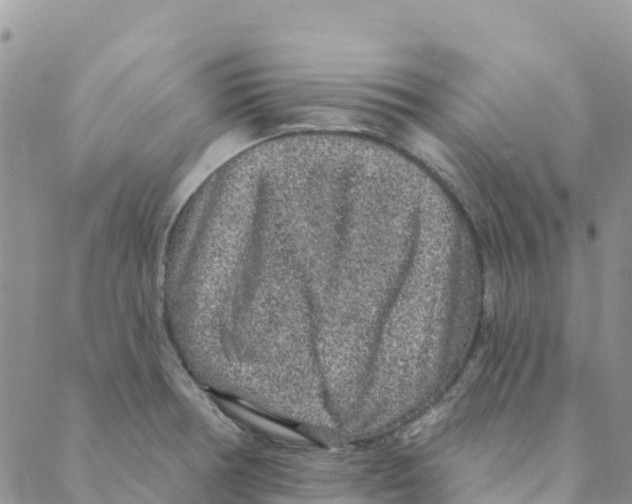 X0000088181378200706121640