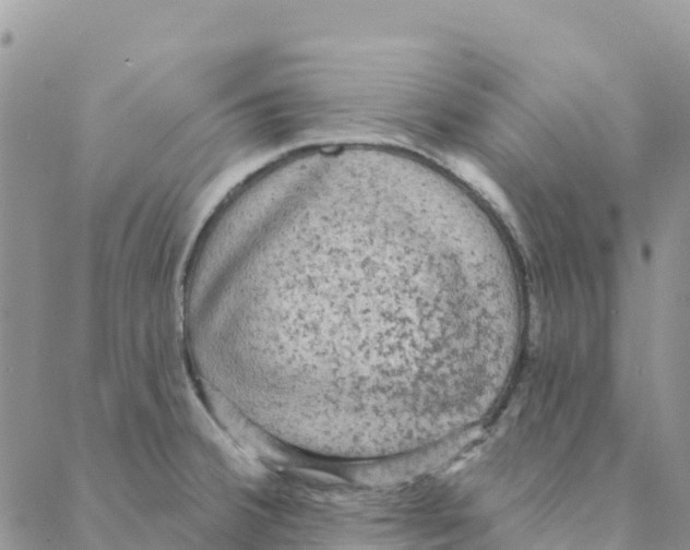 X0000088181380200706121640