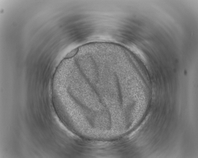 X0000088181382200706121640