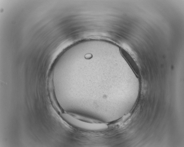 X0000088181384200706121640