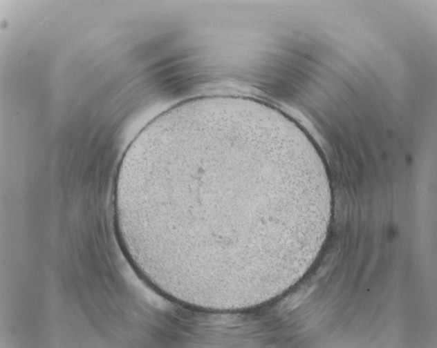 X0000088181387200706121640