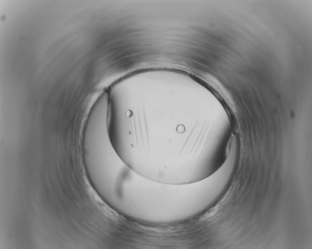 X0000088181388200706121640