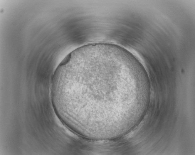 X0000088181390200706121640