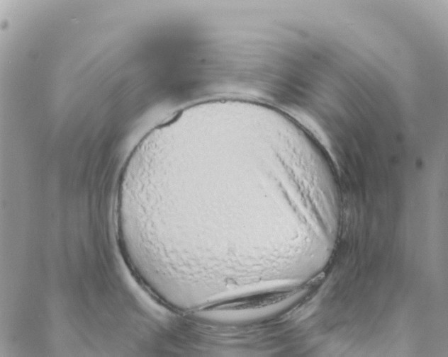 X0000088181391200706121640