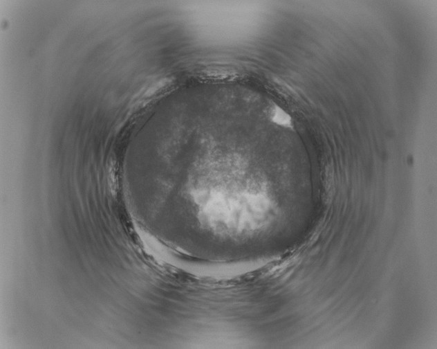 X0000088181394200706121639