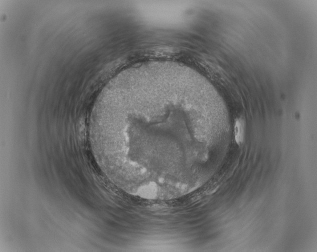 X0000088181395200706121639