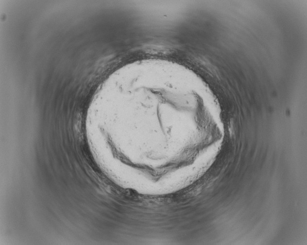 X0000088181396200706121639